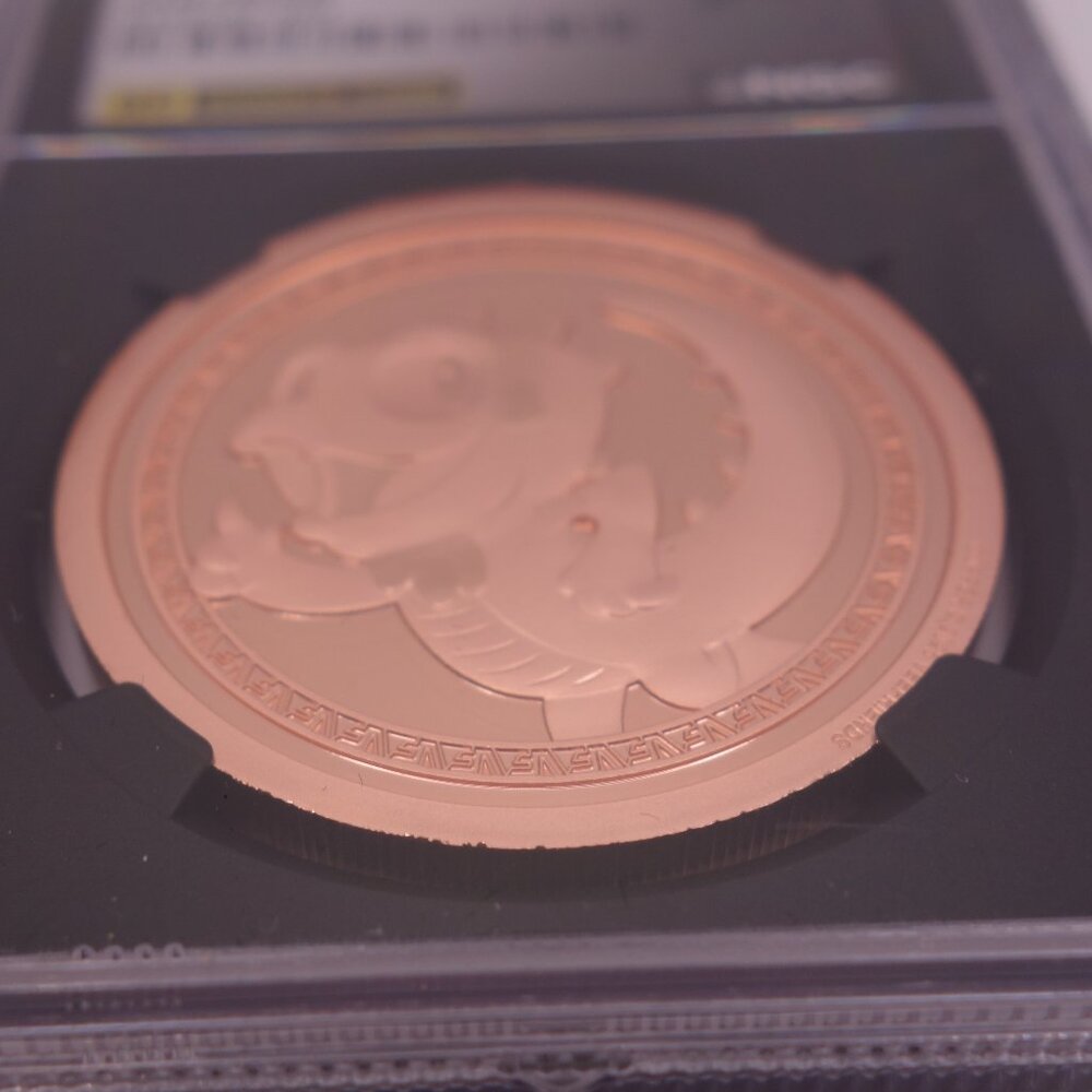 VeeFriends Coins 2025 Intuitive Iguana Copper Medal GEM PROOF Rookie Coin NGC - Picture 9 of 16